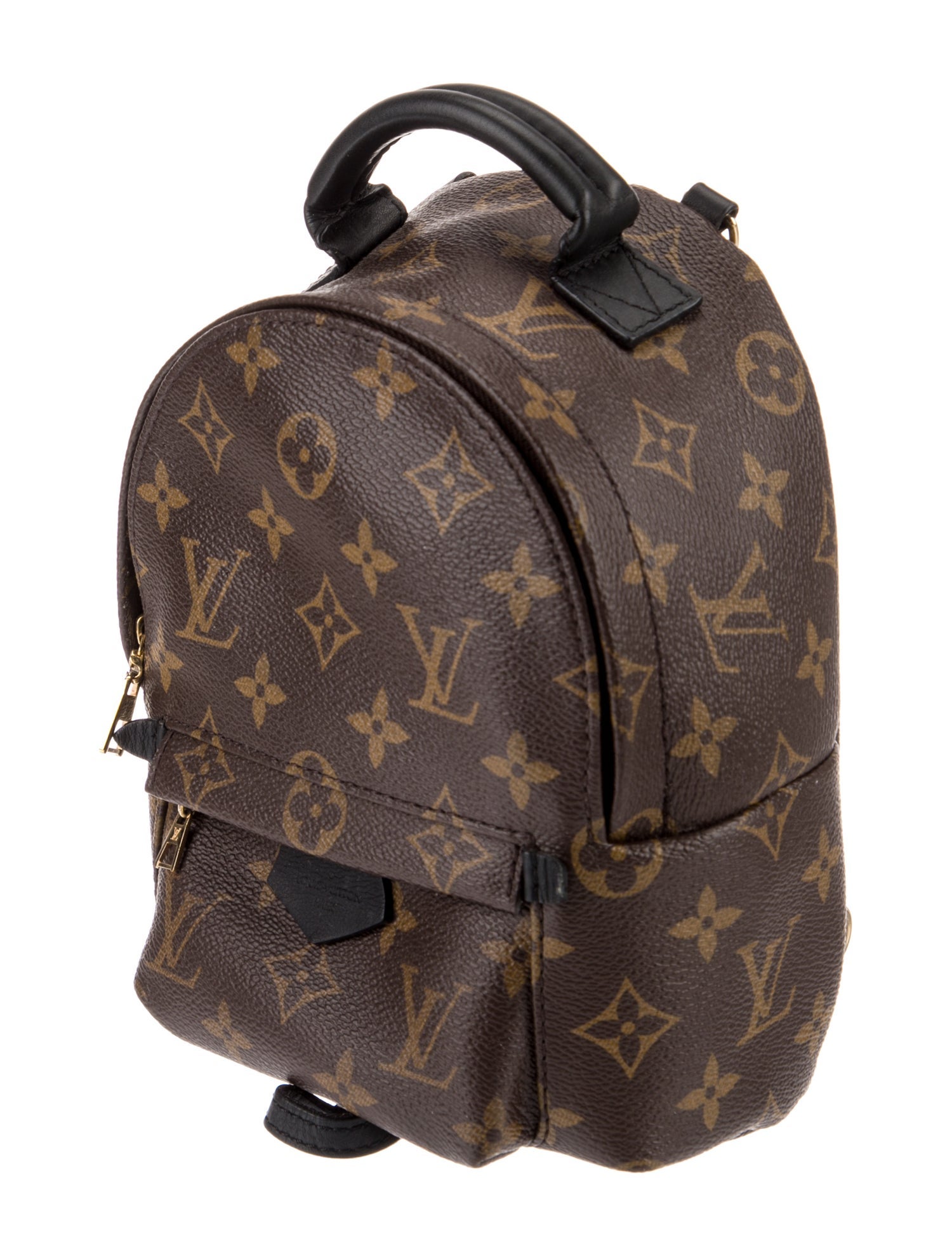 Louis Vuitton LV Monogram Palm Springs Mini