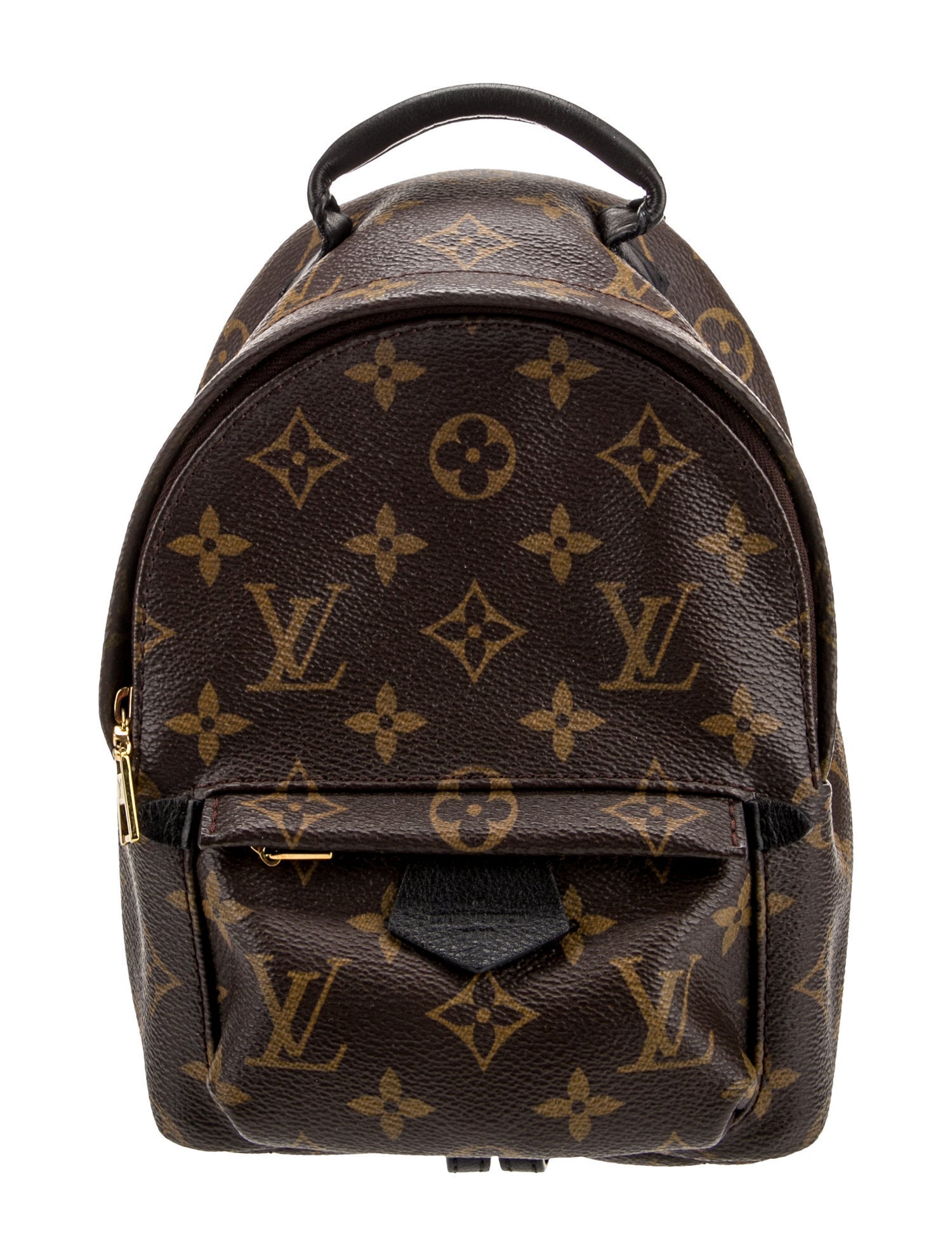 Louis Vuitton LV Monogram Palm Springs Mini