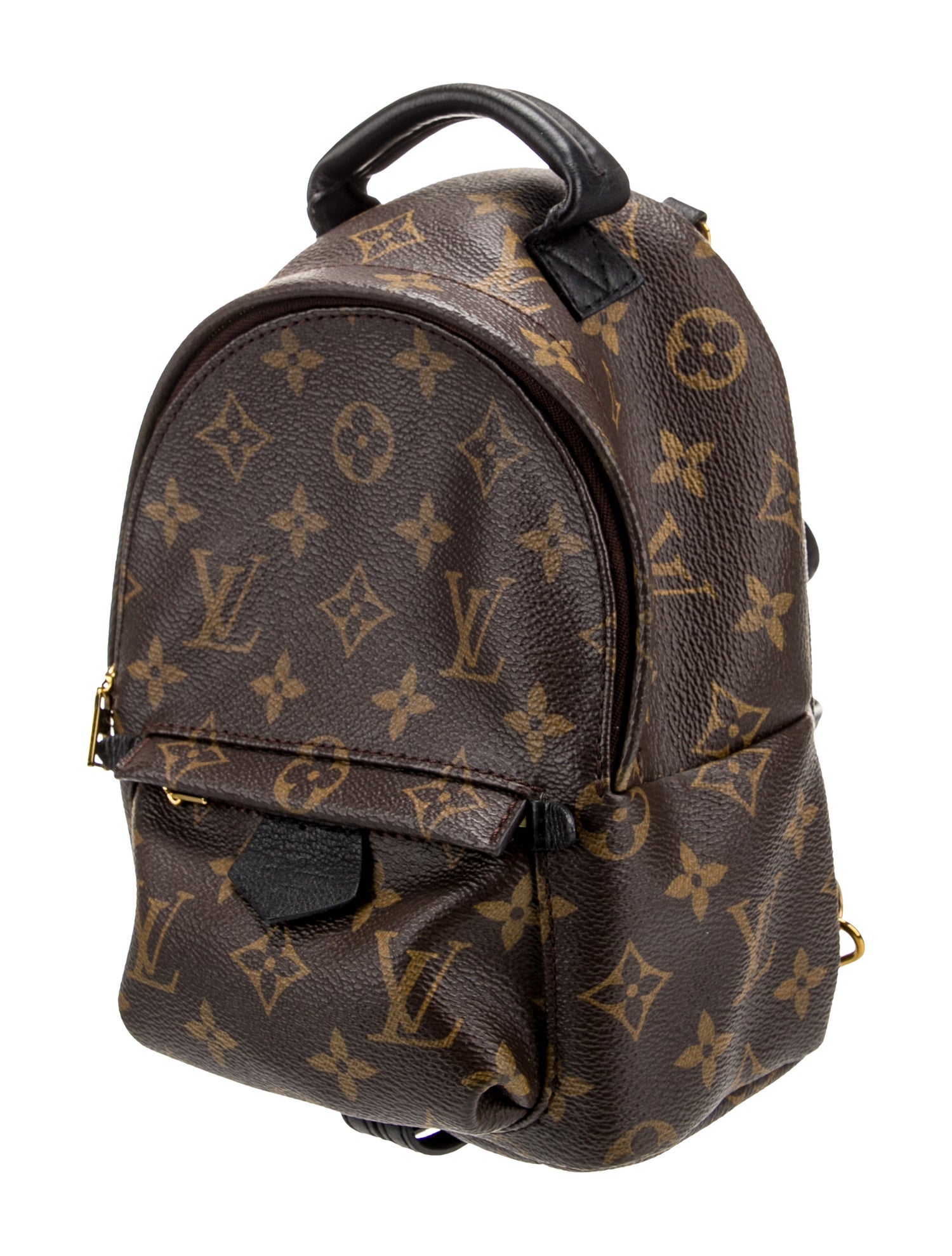 Louis Vuitton LV Monogram Palm Springs Mini