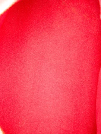 Louis Vuitton Damier Ebene Trevi PM