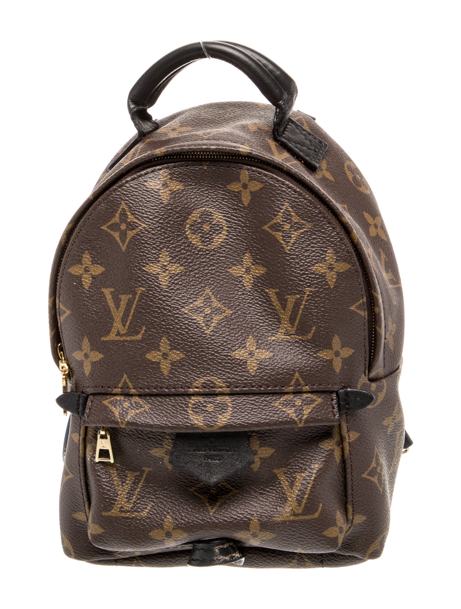 Louis Vuitton LV Monogram Palm Springs Mini