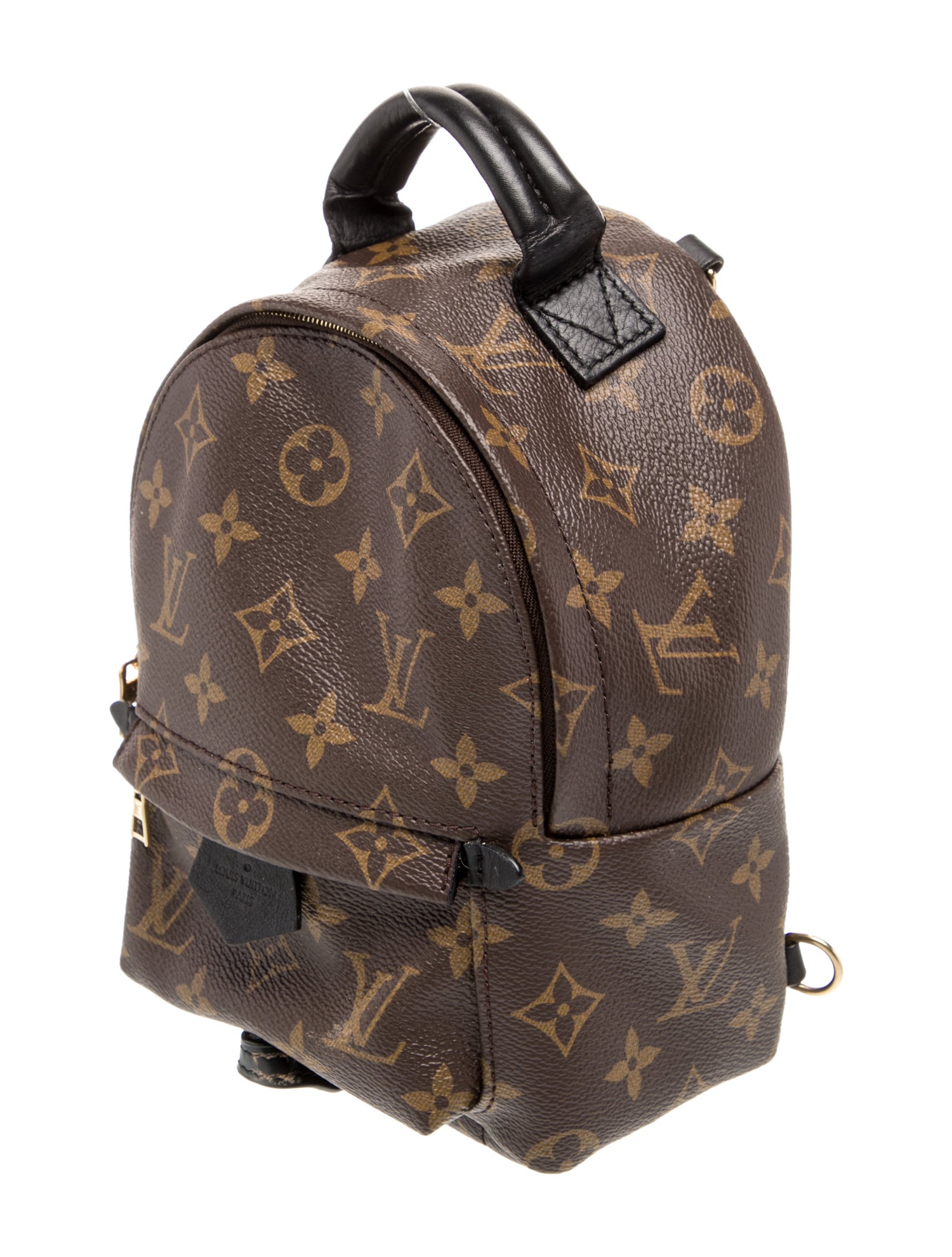 Louis Vuitton LV Monogram Palm Springs Mini