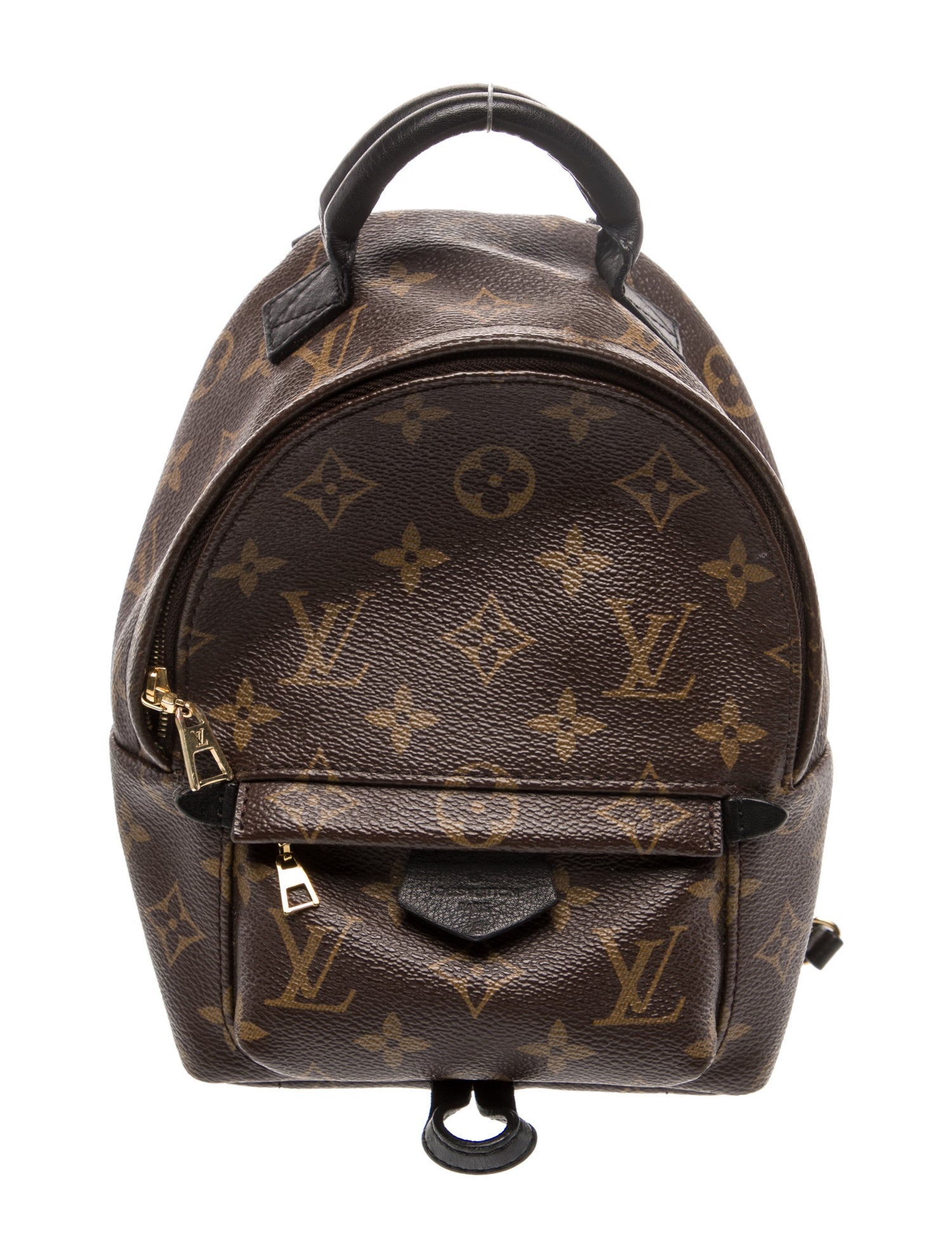 Louis Vuitton LV Monogram Palm Springs Mini