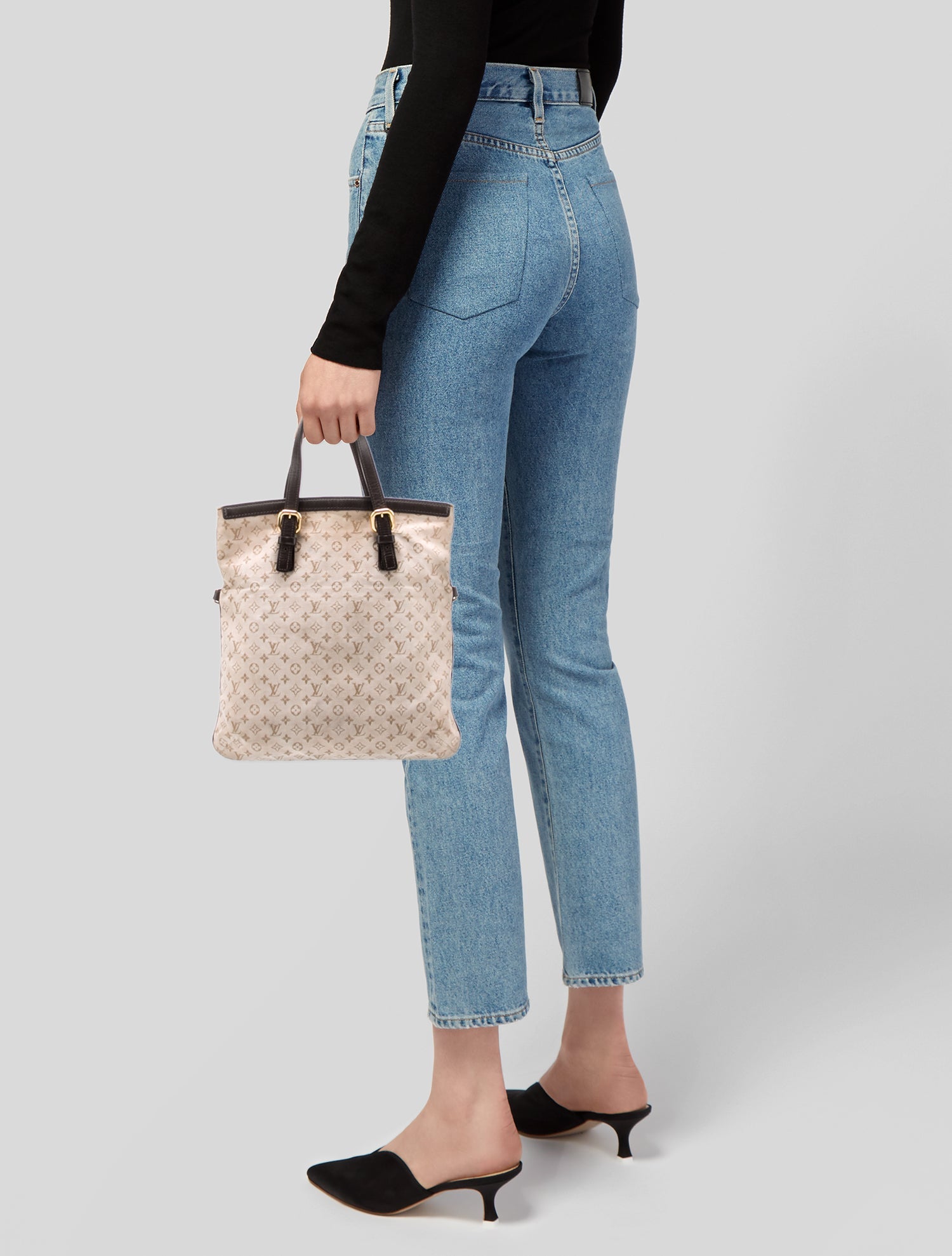 Louis Vuitton Monogram Mini Lin Francoise Vintage