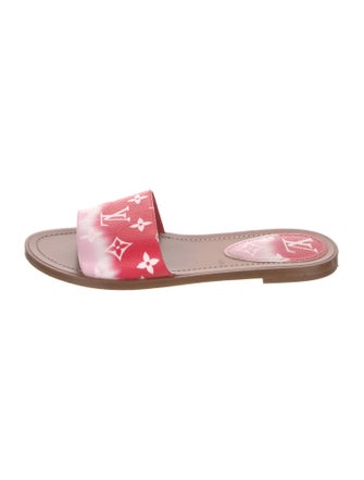 Louis Vuitton LV Monogram Slides