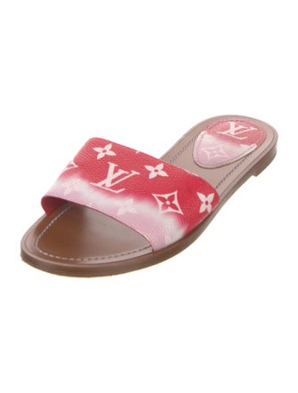 Louis Vuitton LV Monogram Slides