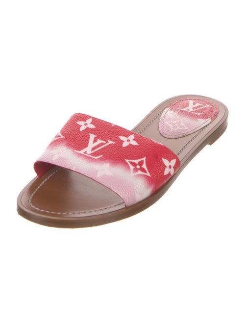 Louis Vuitton LV Monogram Slides