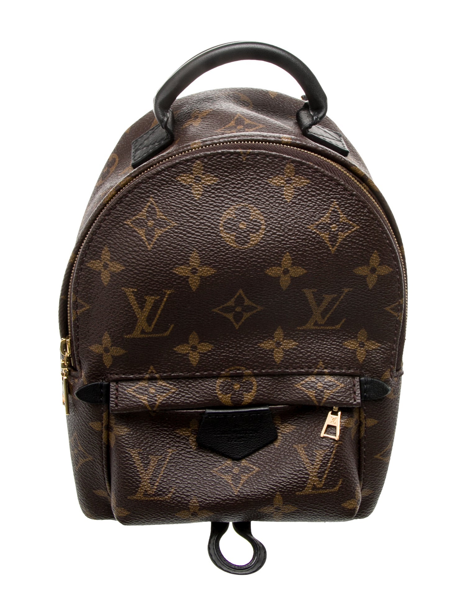 Louis Vuitton LV Monogram Palm Springs Mini
