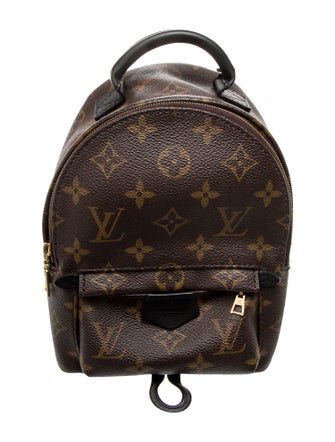 Louis Vuitton LV Monogram Palm Springs Mini