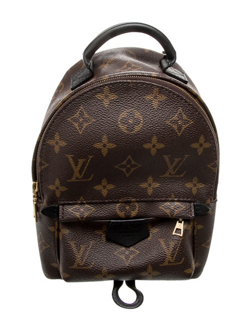 Louis Vuitton LV Monogram Palm Springs Mini