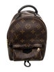 Louis Vuitton LV Monogram Palm Springs Mini