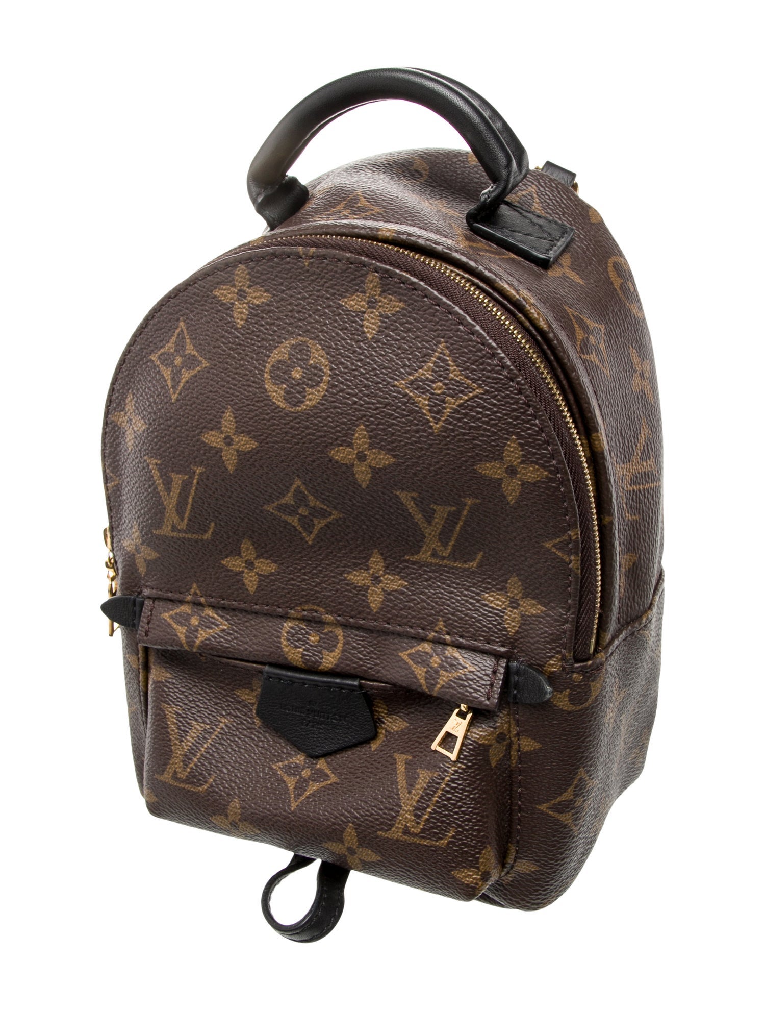 Louis Vuitton LV Monogram Palm Springs Mini