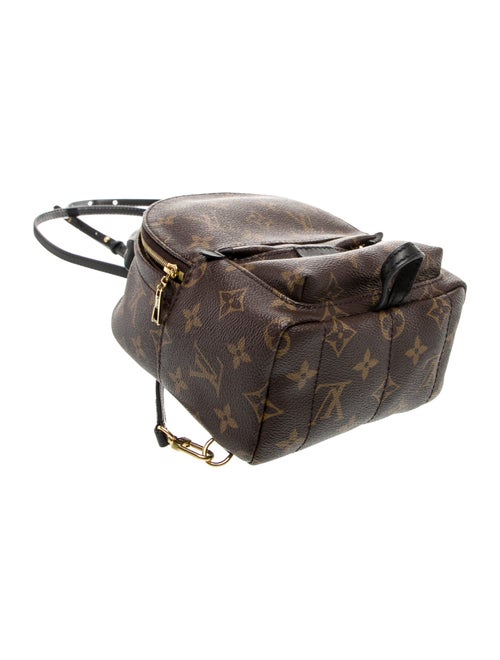 Louis Vuitton LV Monogram Palm Springs Mini