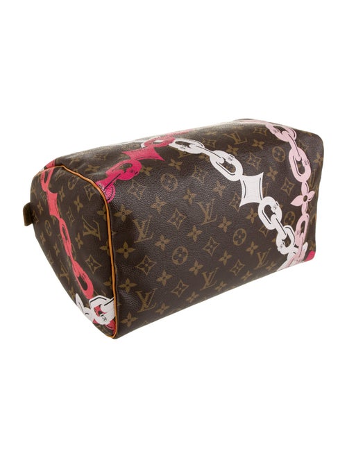 Louis Vuitton LV Monogram Bay Speedy 30