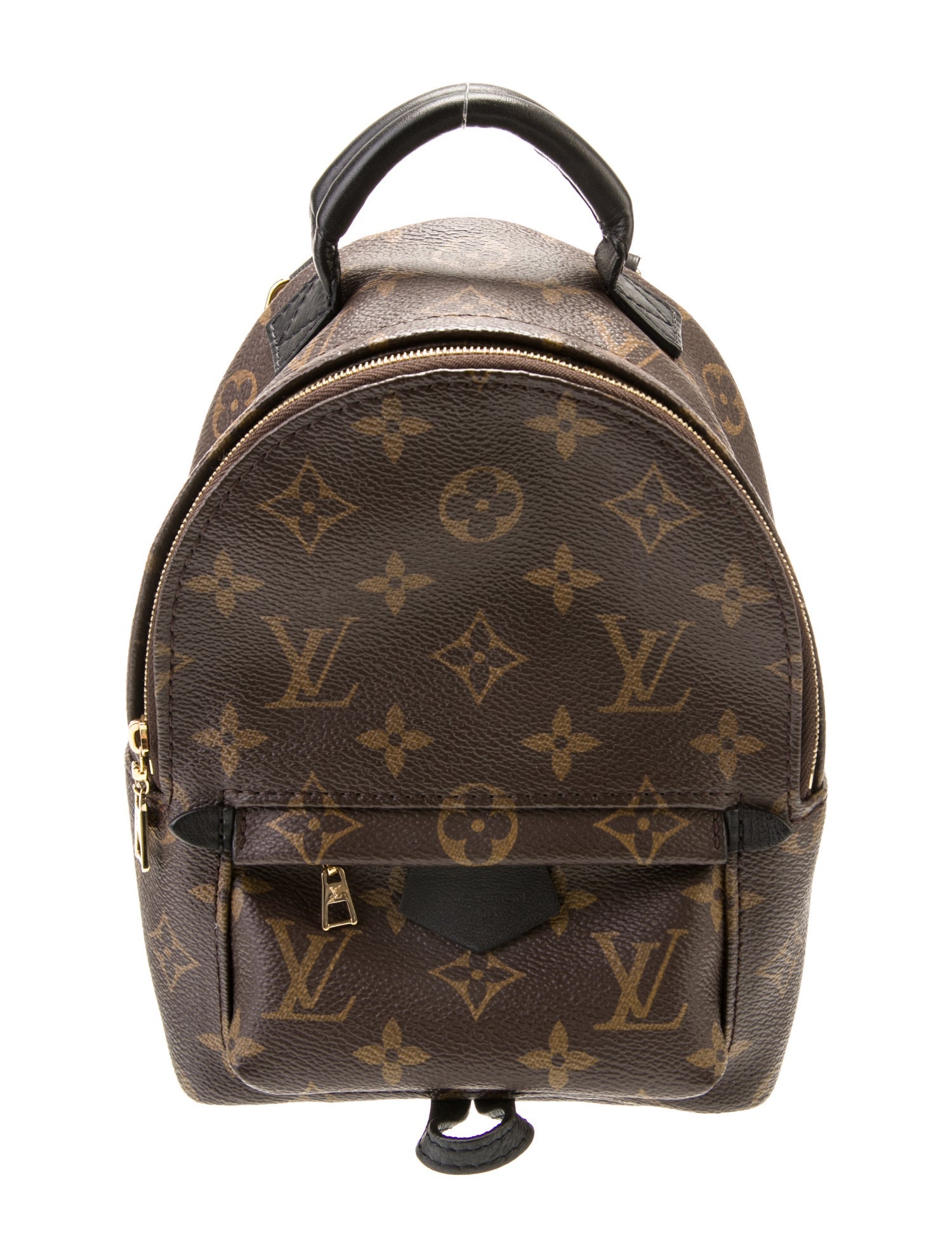 Louis Vuitton LV Monogram Palm Springs