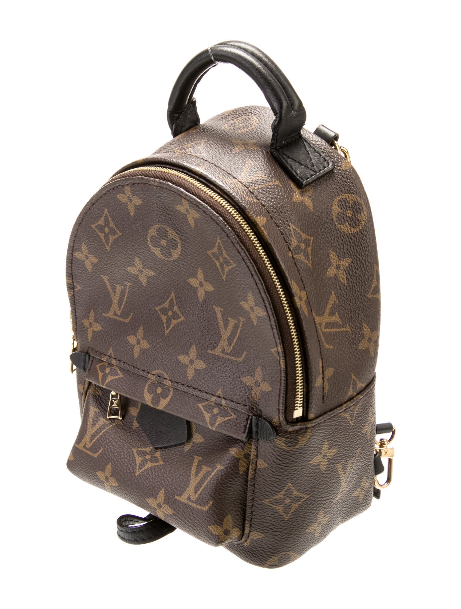 Louis Vuitton LV Monogram Palm Springs