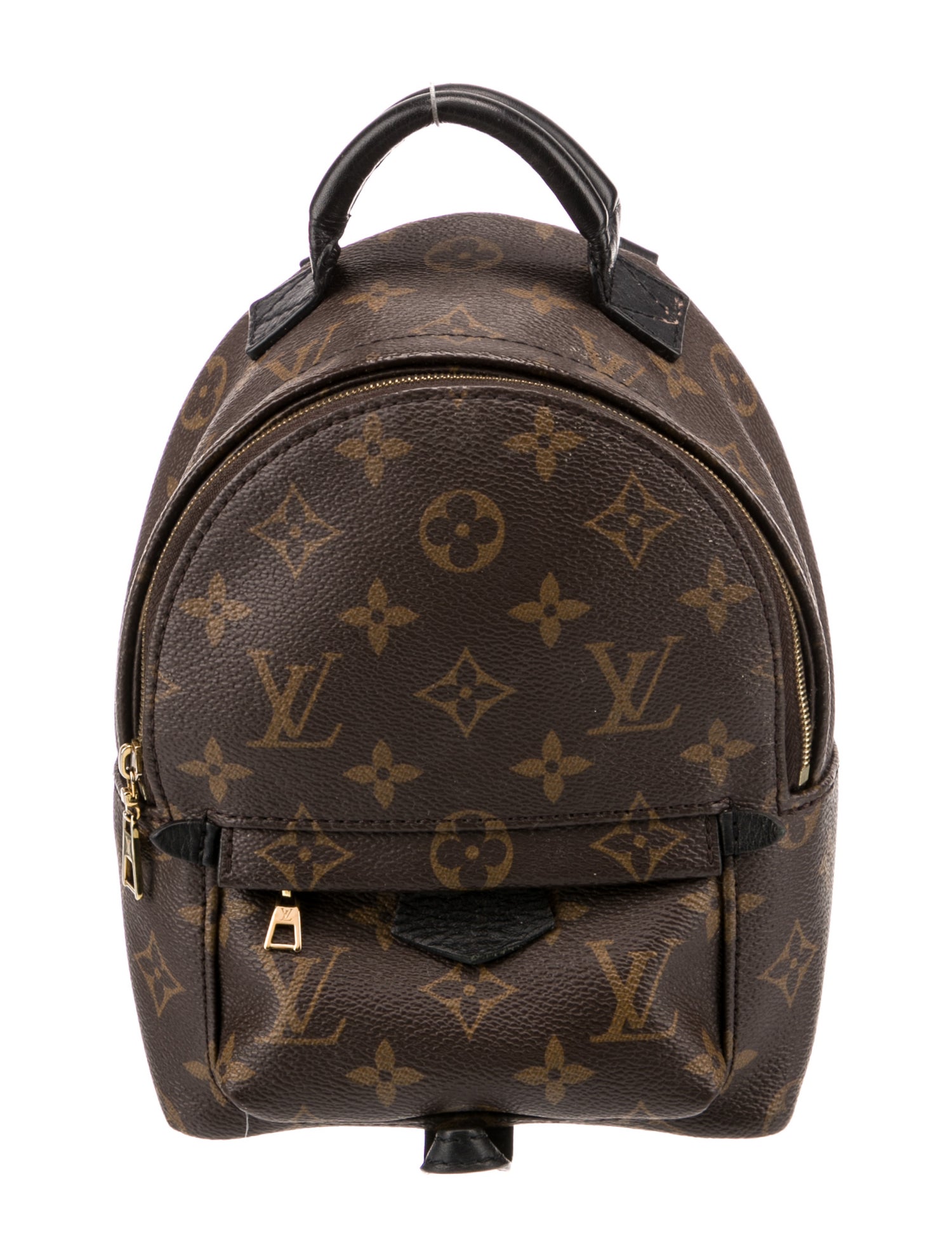 Louis Vuitton LV Monogram Palm Springs Mini