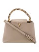 Louis Vuitton LV Monogram Capucines PM