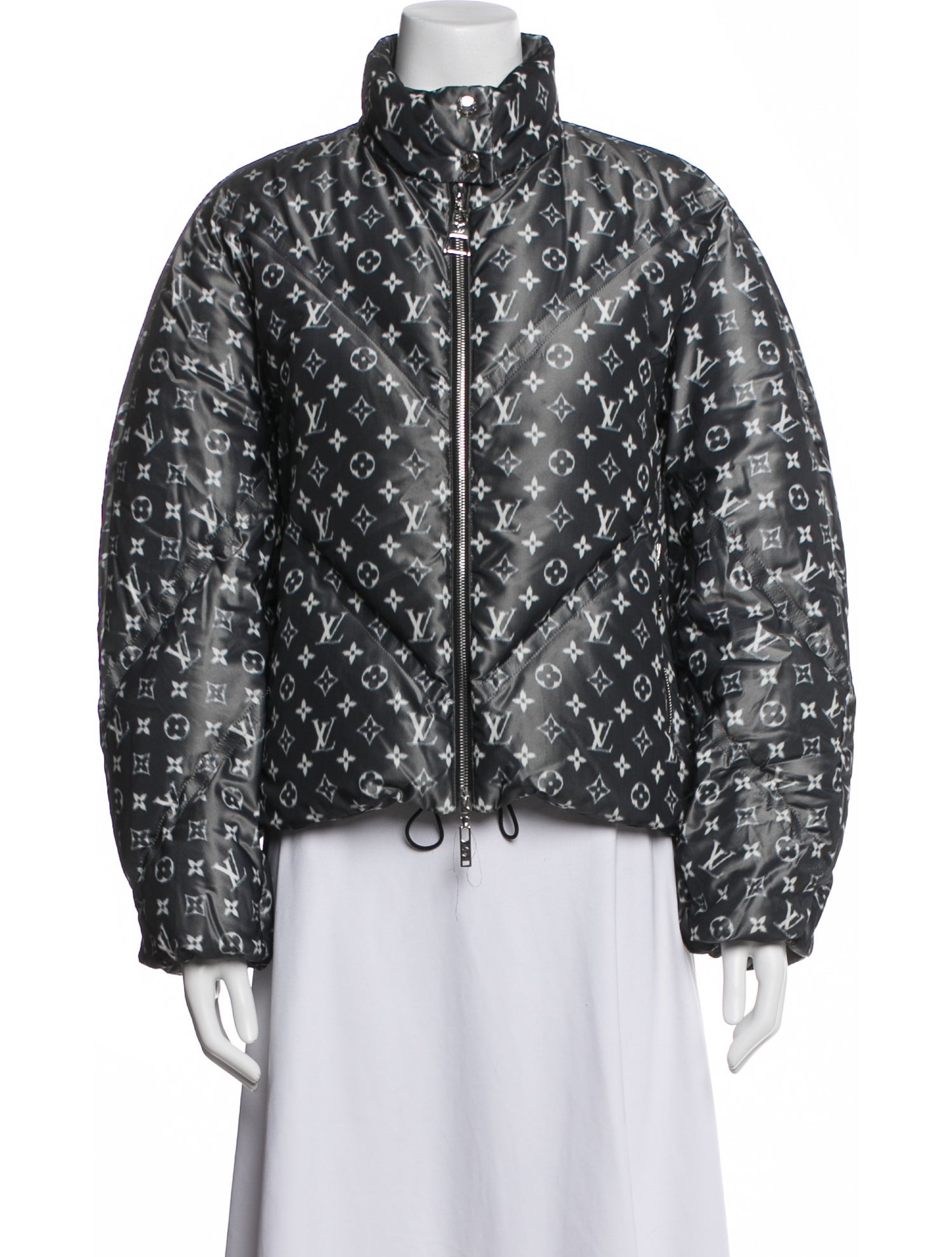 Louis Vuitton 2020 Down Jacket