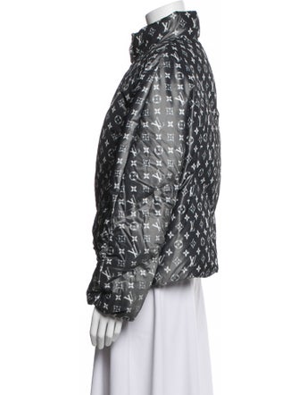 Louis Vuitton 2020 Down Jacket