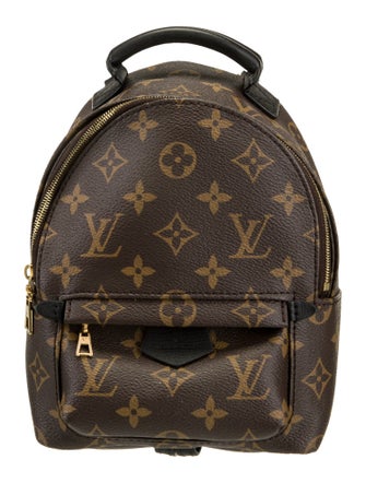 Louis Vuitton LV Monogram Palm Springs Mini