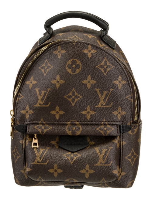 Louis Vuitton LV Monogram Palm Springs Mini