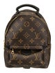 Louis Vuitton LV Monogram Palm Springs Mini