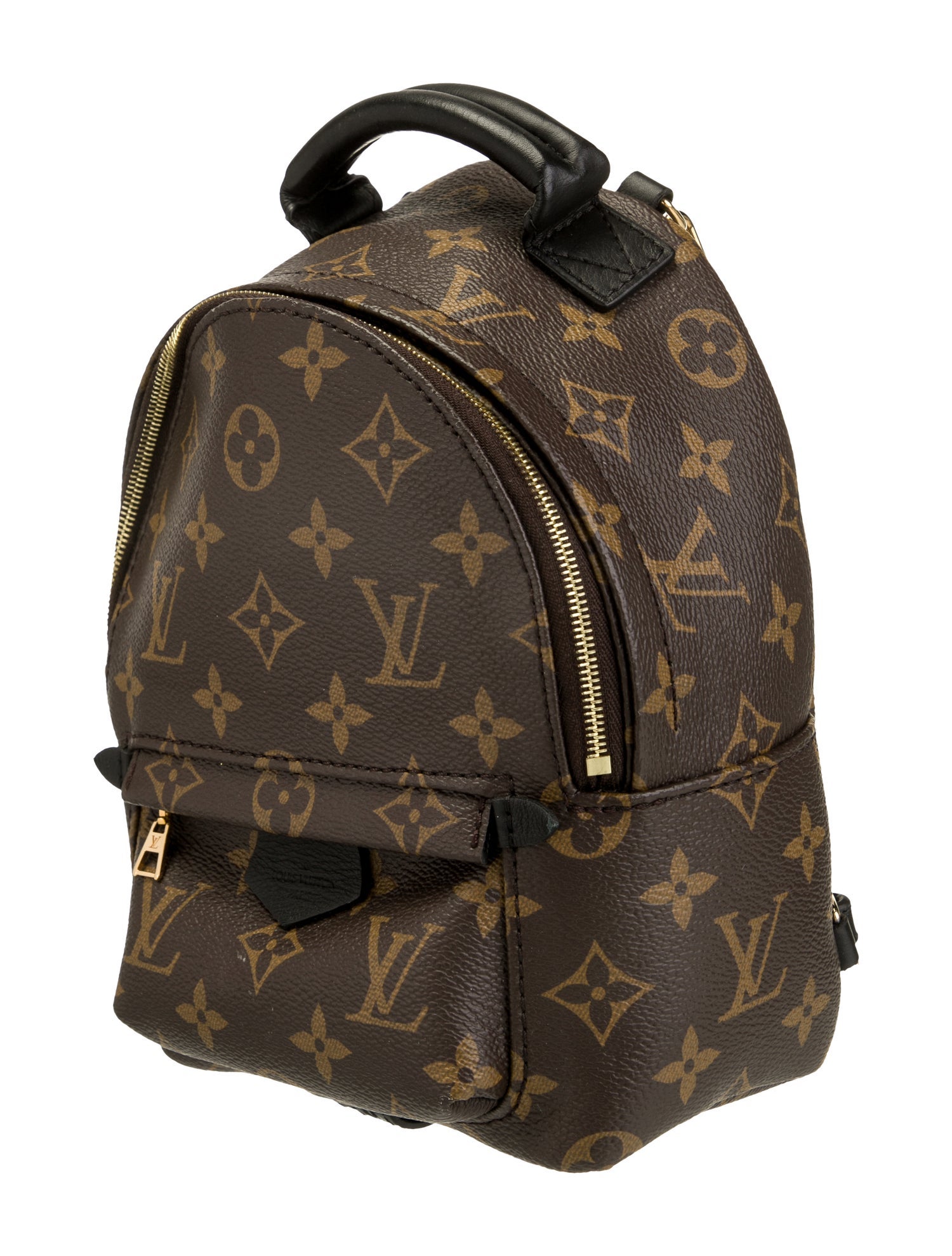 Louis Vuitton LV Monogram Palm Springs Mini