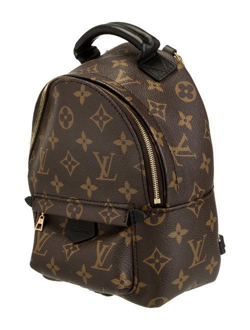 Louis Vuitton LV Monogram Palm Springs Mini