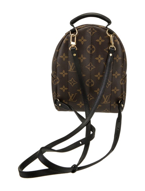 Louis Vuitton LV Monogram Palm Springs Mini