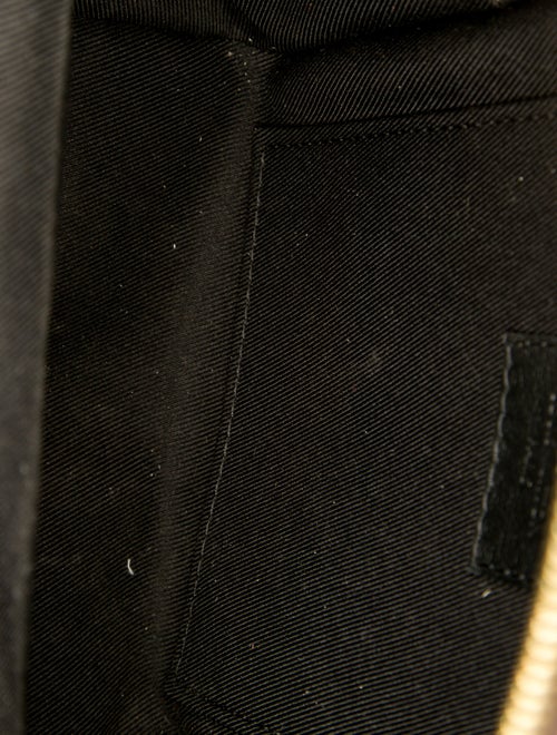 Louis Vuitton LV Monogram Palm Springs Mini