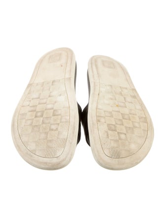 Louis Vuitton Damier Graphite Pattern Rubber Slides
