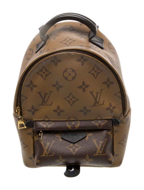 Louis Vuitton LV Monogram Palm Springs Mini