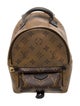 Louis Vuitton LV Monogram Palm Springs Mini