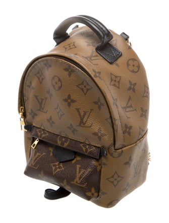 Louis Vuitton LV Monogram Palm Springs Mini