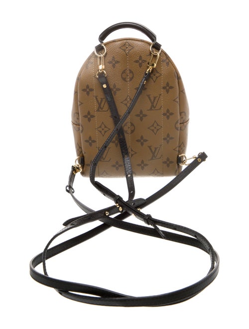 Louis Vuitton LV Monogram Palm Springs Mini