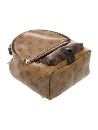 Louis Vuitton LV Monogram Palm Springs Mini