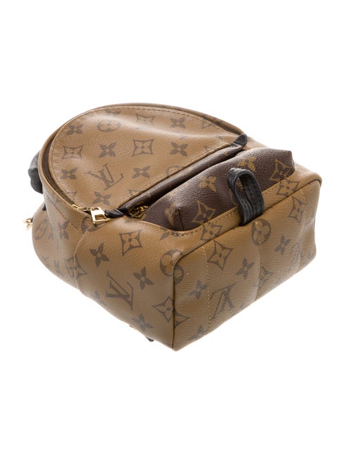 Louis Vuitton LV Monogram Palm Springs Mini