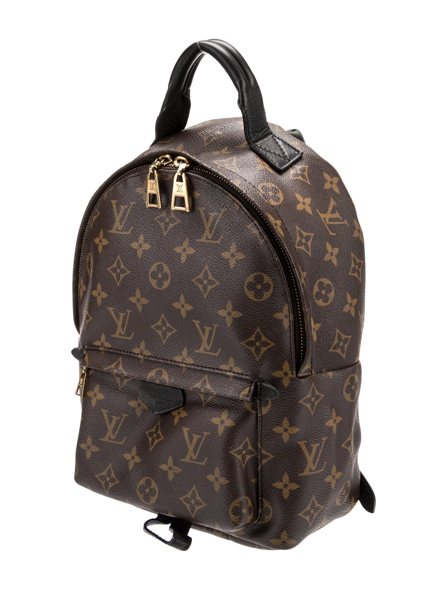Louis Vuitton LV Monogram Palm Springs PM