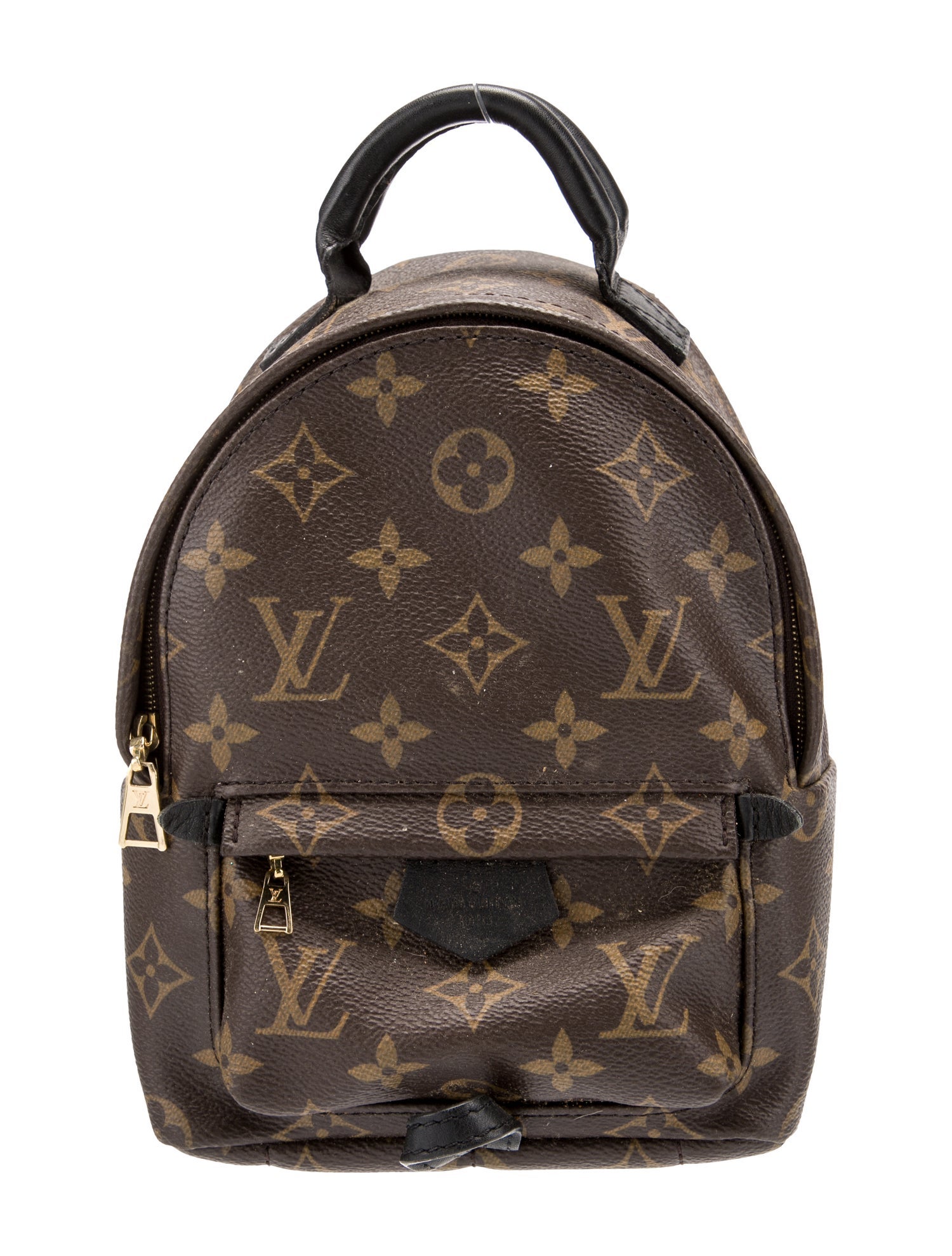 Louis Vuitton LV Monogram Palm Springs Mini