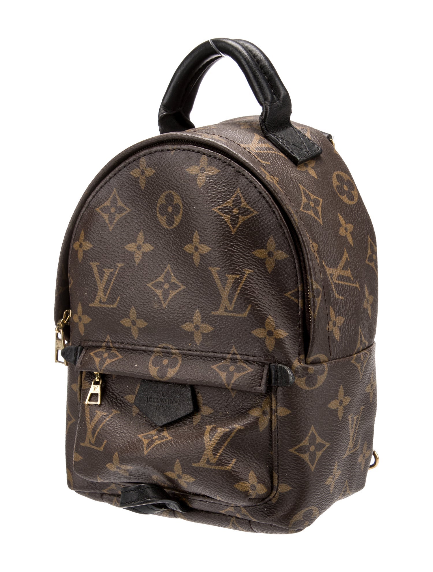Louis Vuitton LV Monogram Palm Springs Mini