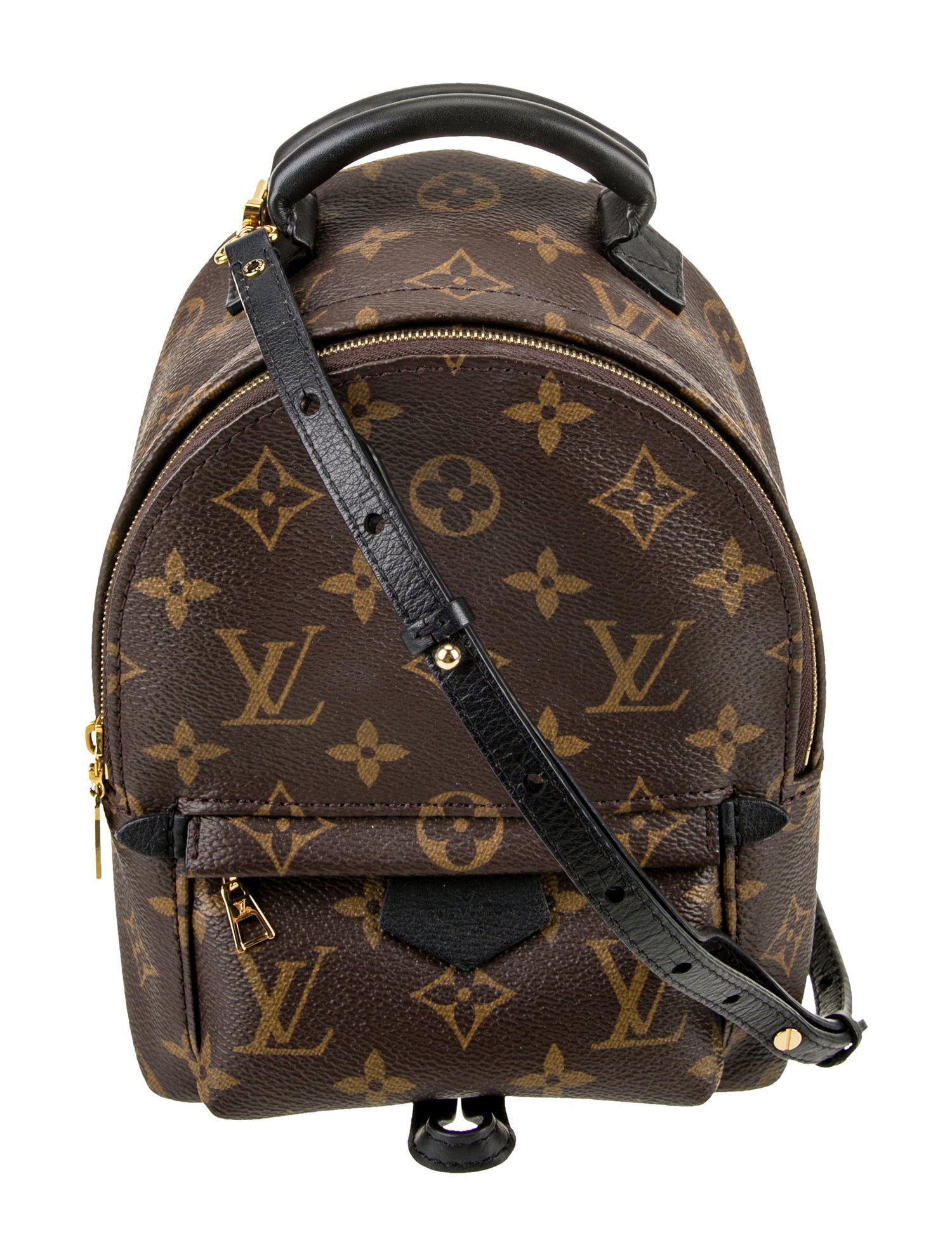 Louis Vuitton LV Monogram Palm Springs Mini