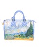 Louis Vuitton LV Monogram x Jeff Koons Masters Collection Van Gogh Speedy 30