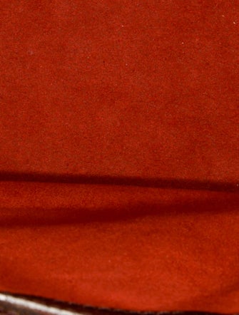 Louis Vuitton Damier Ebene Bucket Bag