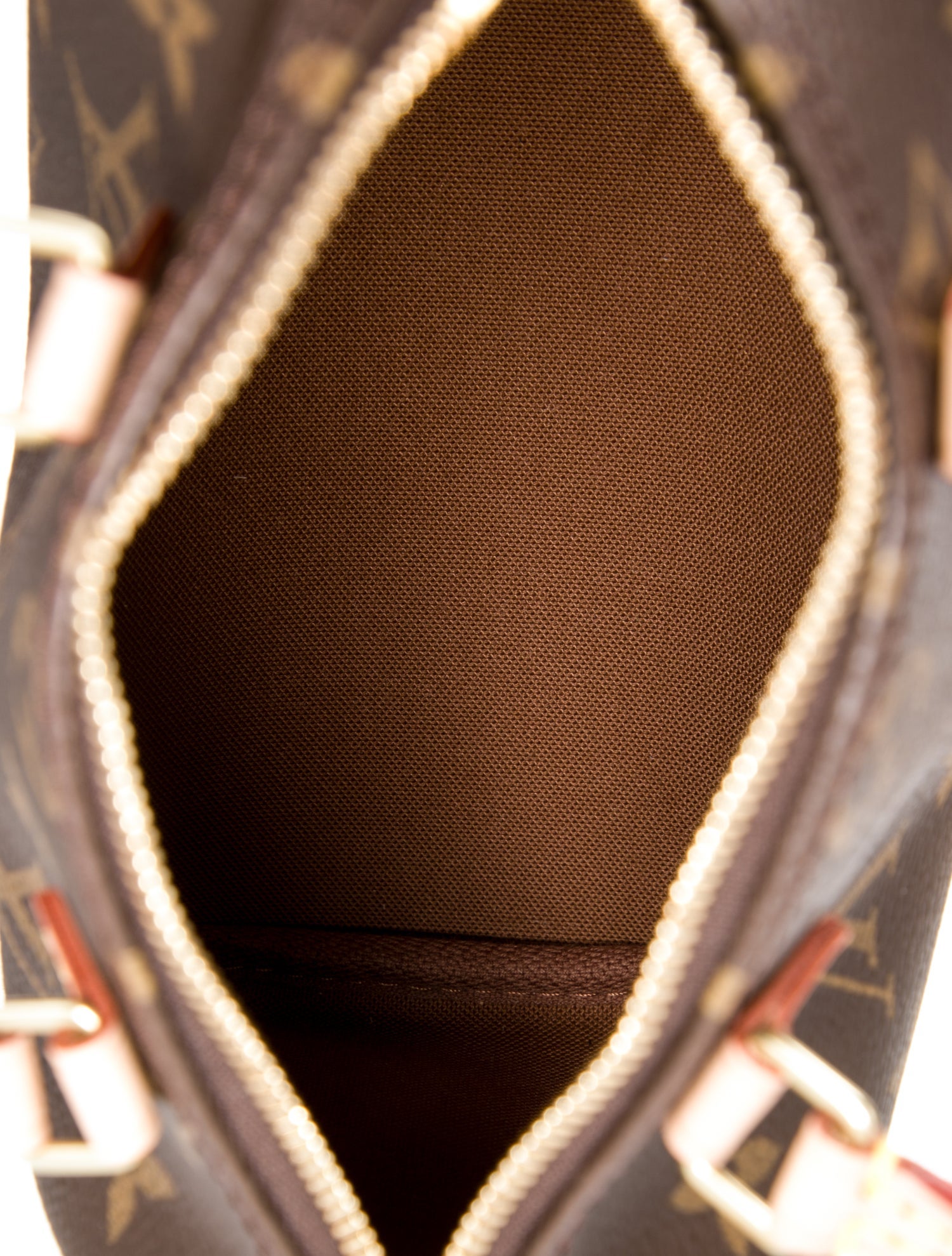 Louis Vuitton LV Monogram Speedy Nano