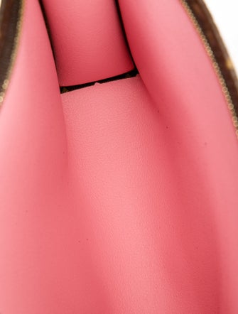 Louis Vuitton LV Monogram Neverfull Pouch 26