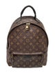Louis Vuitton LV Monogram Palm Springs MM