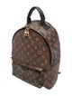 Louis Vuitton LV Monogram Palm Springs MM