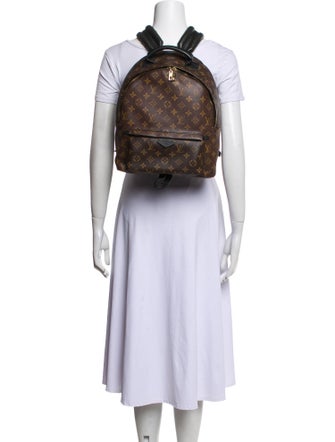 Louis Vuitton LV Monogram Palm Springs MM