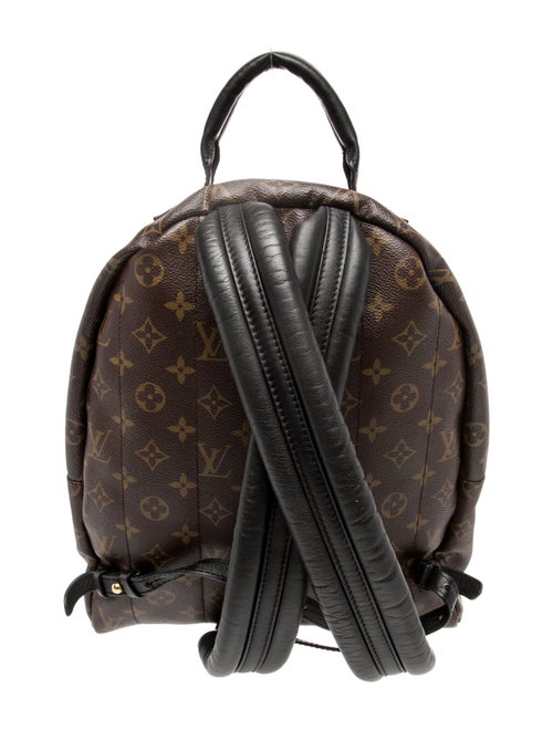Louis Vuitton LV Monogram Palm Springs MM